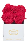 Venus Et Fleur Classic Le Petit Eternity Roses In Red