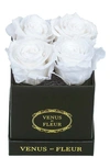 Venus Et Fleur Classic Le Petit Eternity Roses In Pure White