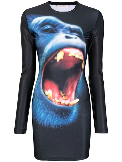 Christopher Kane Monkey Print Longsleeved Dress In Grey