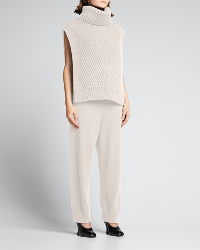 The Row Dickey Ribbed Cashmere Turtleneck In Dove