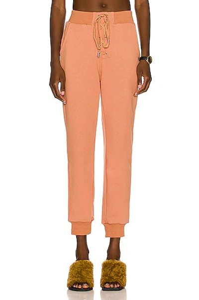 Atoir The Status Track Trousers In Sienna
