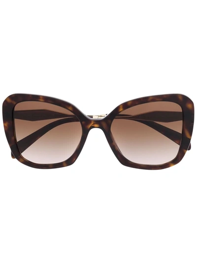 Prada Cat-eye Tortoiseshell Sunglasses In Brown