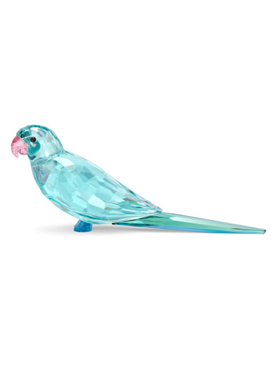 Swarovski Paco Jungle Beats Blue Parakeet