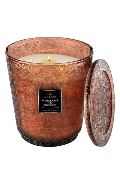 Voluspa Forbidden Fig 5-wick Hearth Candle