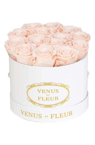 Venus Et Fleur Classic Small Round Eternity Roses In Blush