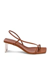 ARIELLE BARON NARCISSUS 55 HEEL,AARF-WZ2