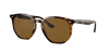Ray Ban Ray In Brown