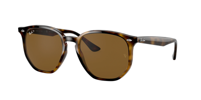 Ray Ban Ray In Brown