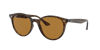 Ray Ban Ray In Brown