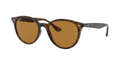 Ray Ban Ray In Brown