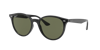 Ray Ban Ray In Green