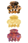 Tasha Assorted 2-pack Matte Jaw Hair Clips In Neutral