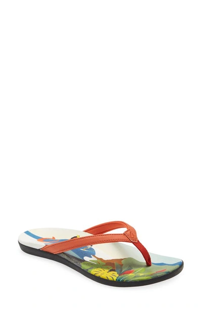 Olukai Ho'opio Pae Water Resistant Flip Flop In Koi/ Pae