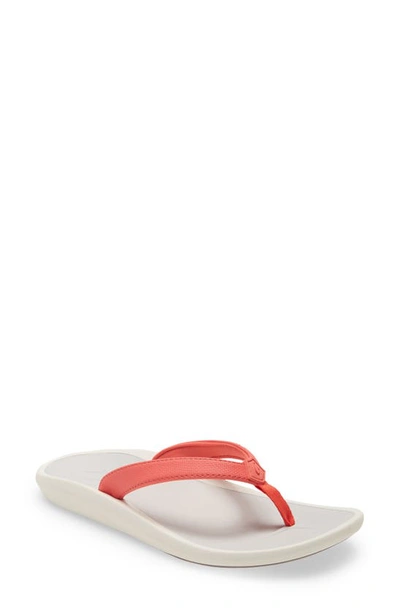 Olukai Pioe Flip Flop In Hot Coral/ Mist Grey