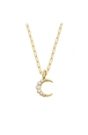 SETHI COUTURE CRESCENT DIAMOND PENDANT,P1509-YG