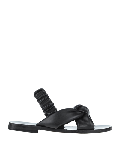 Ncub Sandals In Black