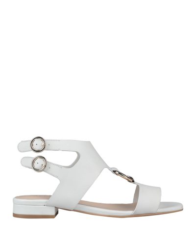 Apepazza Sandals In White