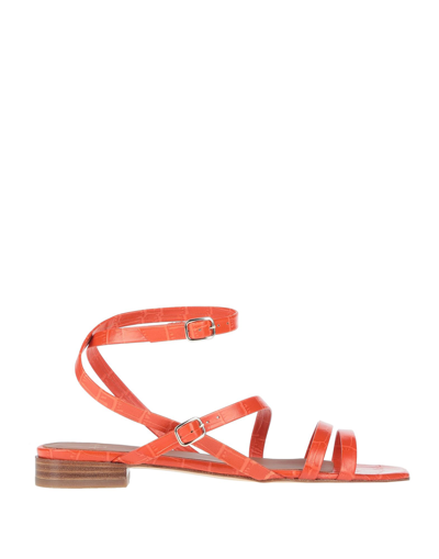 Anaki Sandals In Orange