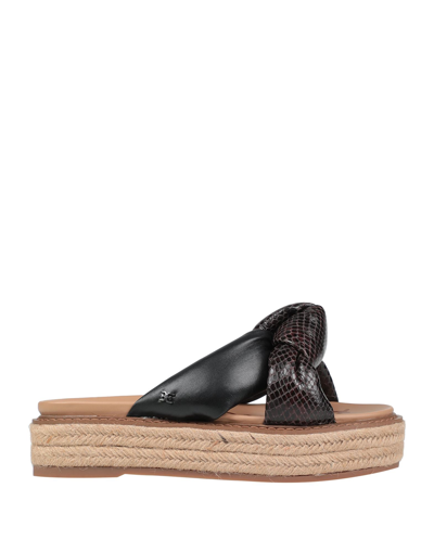 Sam Edelman Espadrilles In Brown