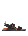 Pollini Sandals In Brown