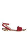 Carlo Pazolini Sandals In Red