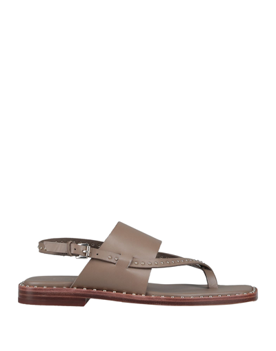 Ash Toe Strap Sandals In Khaki