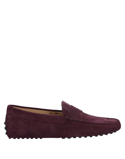 Tod's Loafers In Purple