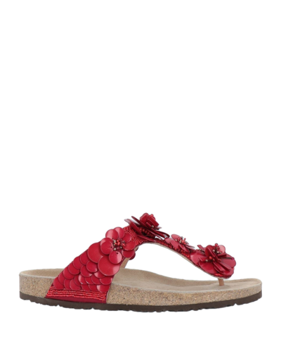 Maliparmi Toe Strap Sandals In Red