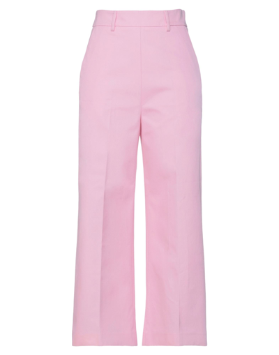 Msgm Pants In Pink