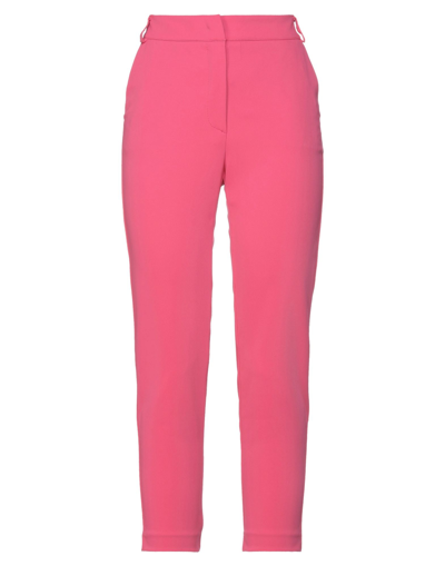 Soallure Pants In Pink