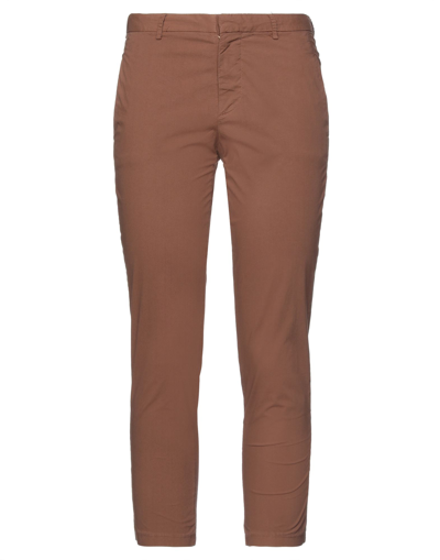 Merci .., Woman Pants Brown Size 4 Cotton, Elastane In Brown