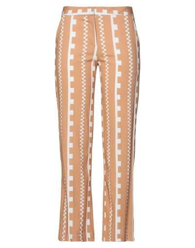 Camicettasnob Pants In Beige