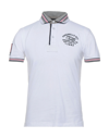 FRED MELLO POLO SHIRTS,12665832RW 5