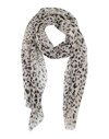 Dolce & Gabbana Scarves In Ivory