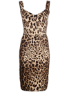 Dolce & Gabbana Leopard-print Cady Corset-style Midi Dress In Nude