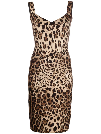 Dolce & Gabbana Leopard-print Cady Corset-style Midi Dress In Neutrals