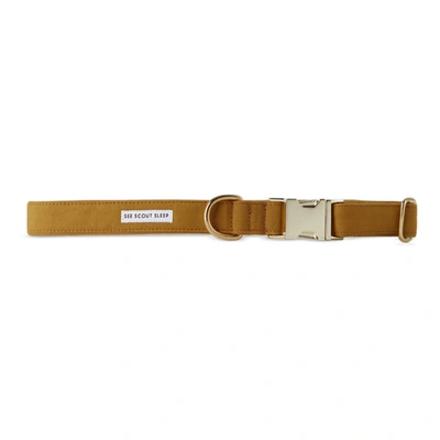 See Scout Sleep Yellow The Scot Large Standard Dog Collar In Mustard
