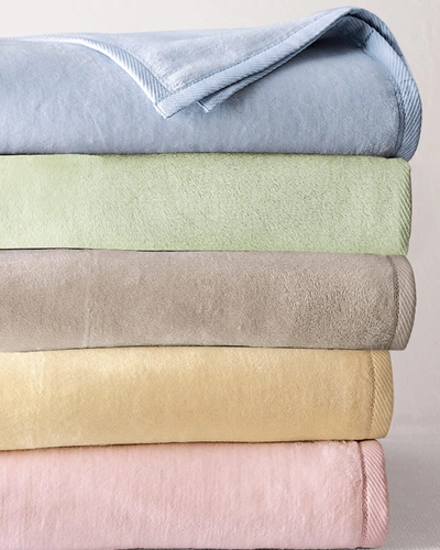 Sferra St. Mortiz Full/queen Plushed Combed Cotton Blanket, 90" X 90" In Pink