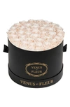 Venus Et Fleur Classic Large Eternity Roses In Blush