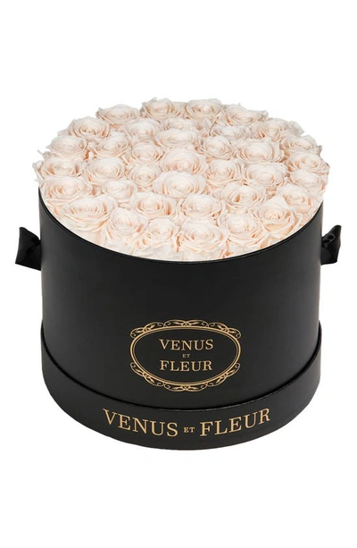 Venus Et Fleur Classic Large Eternity Roses In Blush