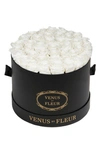 Venus Et Fleur Classic Large Eternity Roses In Pure White