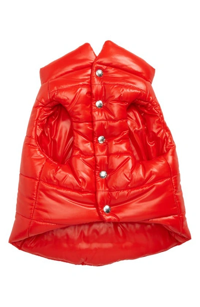 Moncler Logo Quilted Nylon Pet Jacket In Red