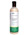 ZION HEALTH ANTI-FRIZZ CONDITIONER, 16 OZ