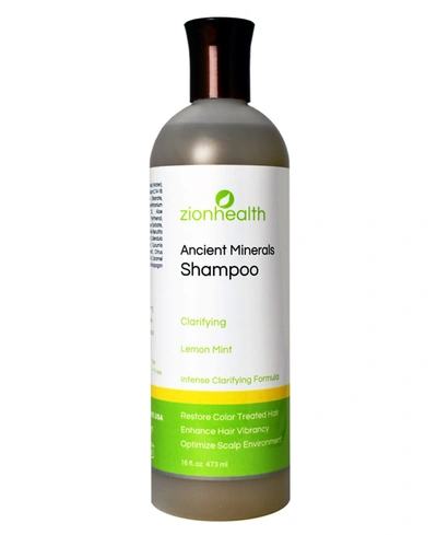 Zion Health Clarifying Hair Shampoo, Lemon Mint, 16 oz