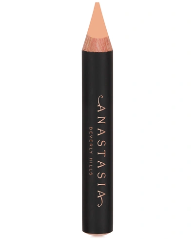Anastasia Beverly Hills Pro Pencil In Base