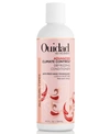 Ouidad Advanced Climate Control Defrizzing Conditioner 250ml
