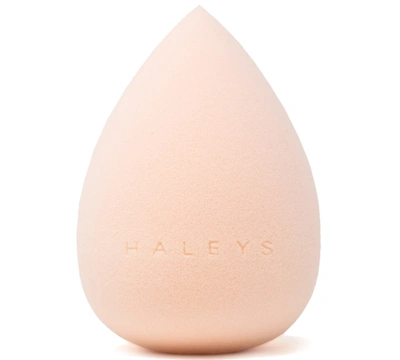 Haleys Beauty Re-mix Complexion Sponge