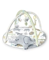 Skip Hop Safari Play Gym In Multi