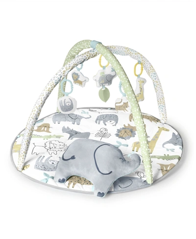 Skip Hop Babies' Safari Play Gym In Multi