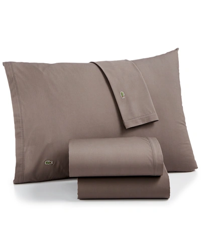 Lacoste Home Solid Cotton Percale Sheet Set, California King In Dark Gray